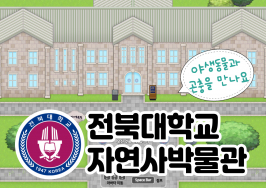  게시글 썸네일